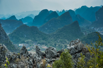 小学综合实践课优秀说课稿