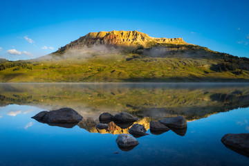 植树节从那年开始的