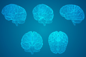 植物大战僵尸一共多少关 植物大战僵尸关卡介绍