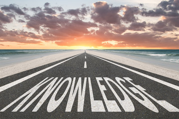 蚂蚁幼儿园大班韵律活动教案