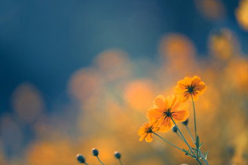 中国当代创新人物事迹