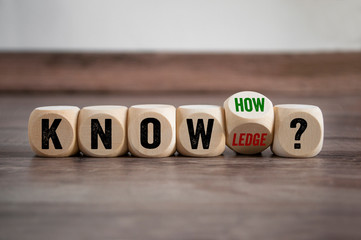 植物大战僵尸一共多少关 植物大战僵尸关卡介绍