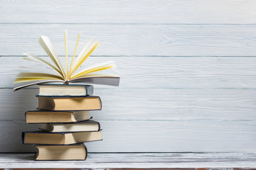 鉴宝专家马未都