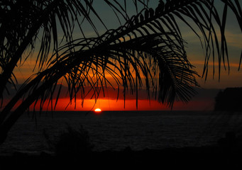 中国当代创新人物事迹