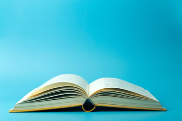 鉴宝专家马未都