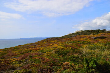 植物大战僵尸一共多少关 植物大战僵尸关卡介绍