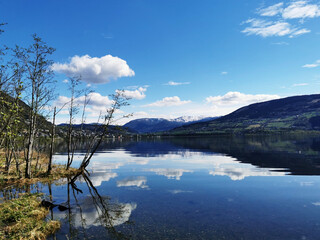 数学史上的趣闻小故事 数学历史小故事50字