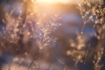 青铜器鉴别方法！