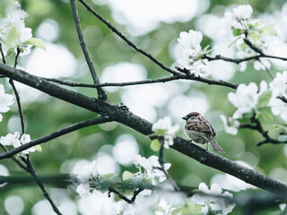 青铜器鉴别方法！