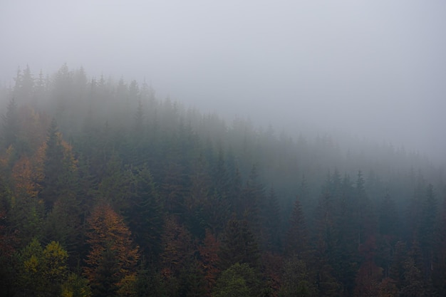 防灾减灾的内容怎么写 防灾减灾的内容有哪些