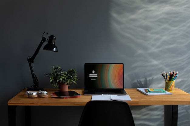 鉴宝专家马未都