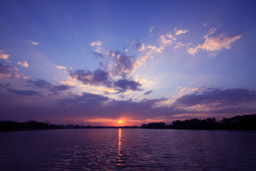 叶片一能进行光合作用着部位是（　　）A．只有表皮细胞B．只有叶肉细胞C．只有保卫细胞D．所有含叶绿体的