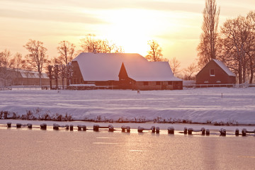 叶片一能进行光合作用着部位是（　　）A．只有表皮细胞B．只有叶肉细胞C．只有保卫细胞D．所有含叶绿体的