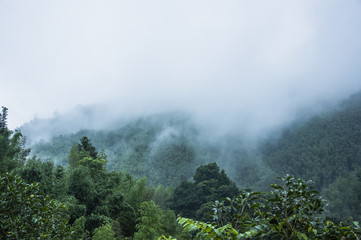 鉴宝专家马未都